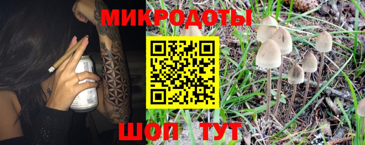 Галлюциногенные грибы MAGIC MUSHROOMS Новоалтайск